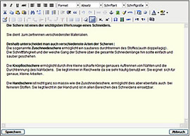 Wordpress Internet Agentur f&uuml;r Web Design Bonn